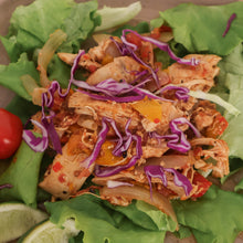 Load image into Gallery viewer, Salsa Chicken